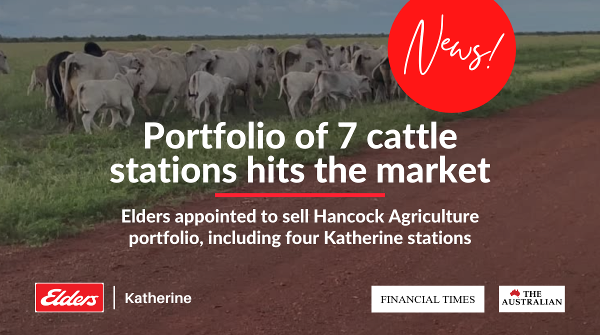 Portfolio of seven cattle stations hits the market