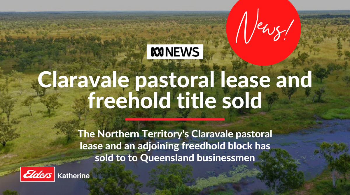 Claravale pastoral lease and freehold title sold to Queensland businessmen