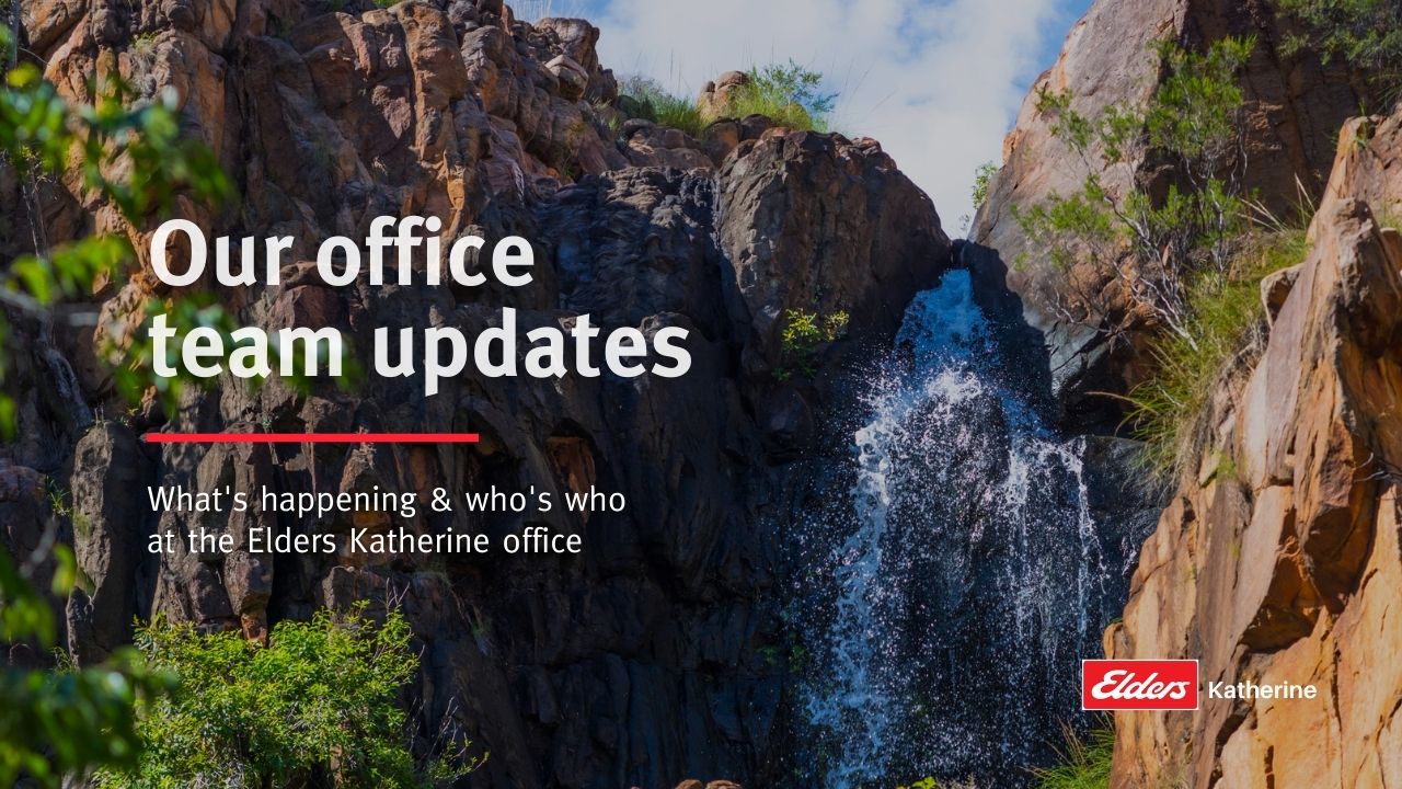 Elders Katherine Team Updates Elders Real Estate Katherine