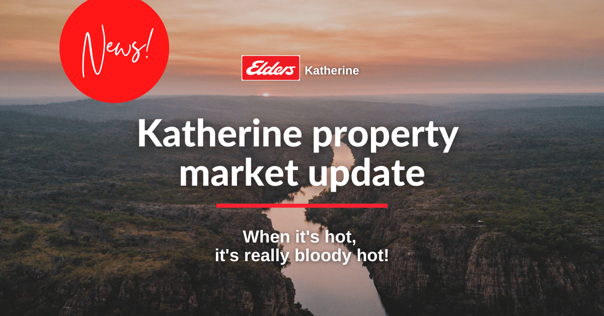 Katherine Market Update