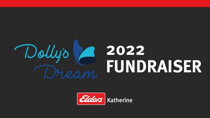 Dolly's Dream 2022 Thumbnail
