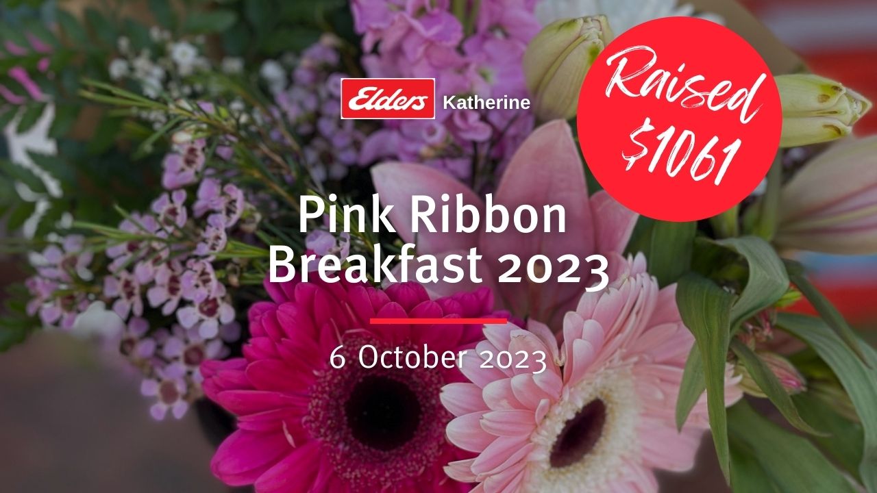 Pink Ribbon Breakfast 2023 Elders Real Estate Katherine 3102